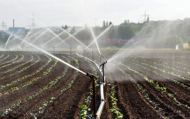 Sistema de irrigação por Aspersão